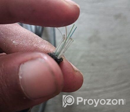 Optical fiber
