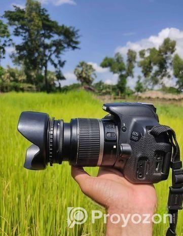 প্রাইম লেন্স