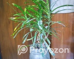 fitted-2025-09-17T114634.894_2025-09-17_12-00-31