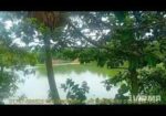 সস্তা দামে জমি বিক্রি হবে।