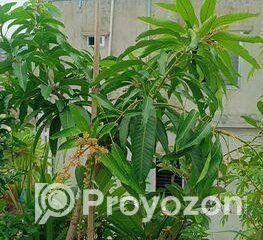 fitted-2025-09-17T130655.729_2025-09-17_13-07-36