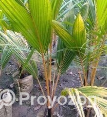 fitted-2025-09-17T134848.689_2025-09-17_13-50-06