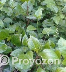 fitted-2025-09-17T134910.349_2025-09-17_13-50-24