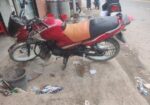 Yamaha Gladiator . 2010