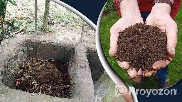 খাঁটি হাওরের দেশি গরুর গোবরের সার – ১০০% জৈব
