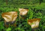Tea Gold(tg)