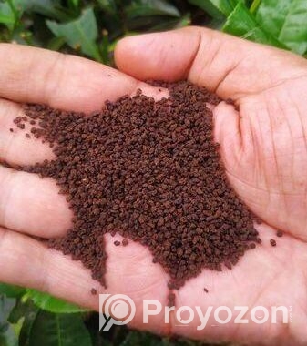Tea Gold(tg)