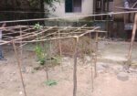 সাউথ খুলশীতে জমি বিক্রি হবে