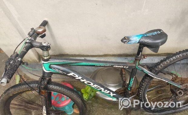 Phonixe bicycle for sell