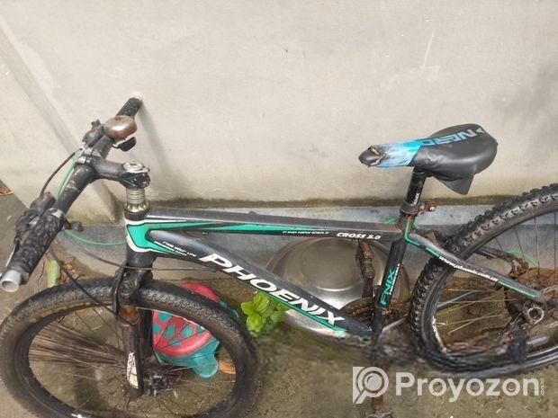 Phonixe bicycle for sell