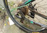 Phonixe bicycle for sell