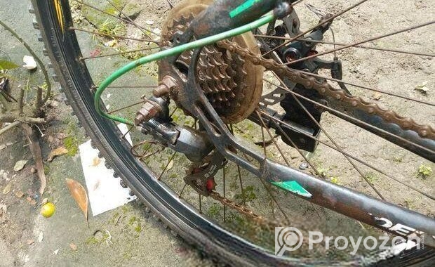 Phonixe bicycle for sell