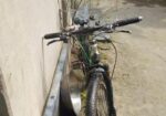 Phonixe bicycle for sell