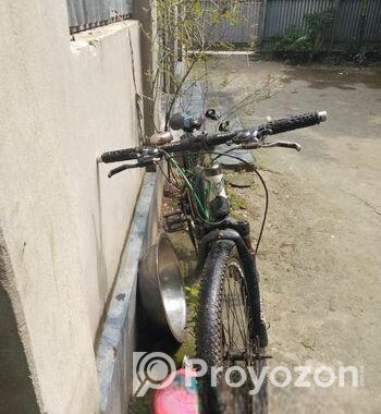Phonixe bicycle for sell