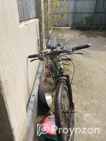Phonixe bicycle for sell