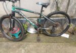 Phonixe bicycle for sell