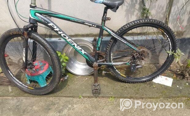 Phonixe bicycle for sell