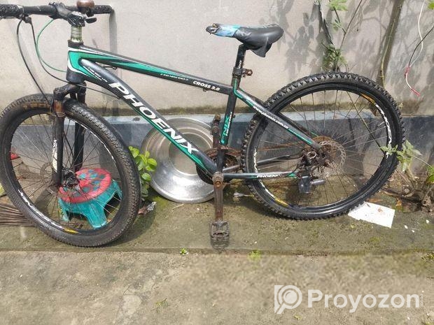 Phonixe bicycle for sell