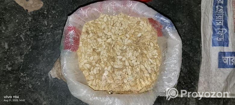 মিষ্টি কুমড়োর বিজ