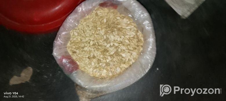 মিষ্টি কুমড়োর বিজ