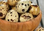 কোয়েল পাখির ডিম