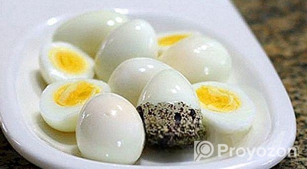 কোয়েল পাখির ডিম