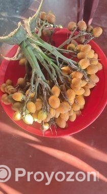 সুপারি বিক্রি