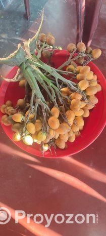 সুপারি বিক্রি