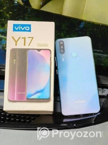 Vivo Y17 8/256 (Used)