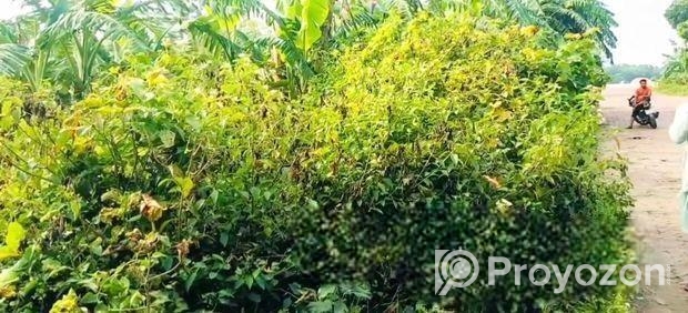জমি বিক্রয় বিজ্ঞাপন