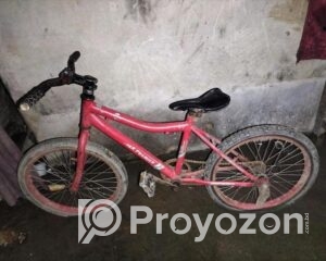 fitted-2025-09-22T014224.092_2025-09-22_01-43-20