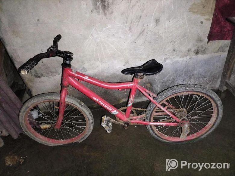 Bicycle for sale