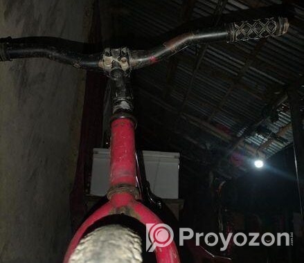 Bicycle for sale