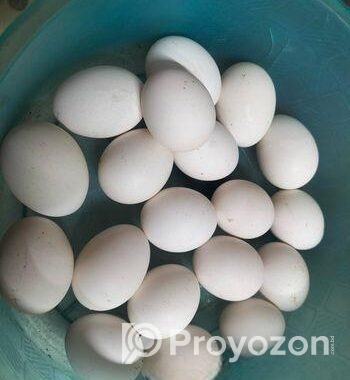 পিওর দেশি মুরগির ডিম