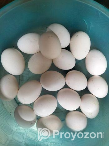 পিওর দেশি মুরগির ডিম