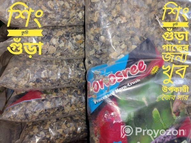 শিং কুচি গুঁড়া ১ কেজি প্যাক