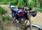 Dayang . 2002