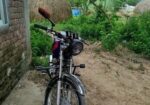 Dayang . 2002