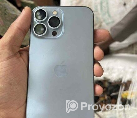 Apple iPhone 13 Pro Max (Used)