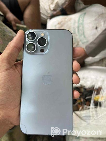 Apple iPhone 13 Pro Max (Used)