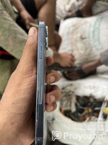 Apple iPhone 13 Pro Max (Used)