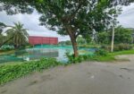 # কুমিল্লার চান্দিনায় @ ২০২ কাঠা জমি