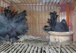 Black Lokkha Runing Pair