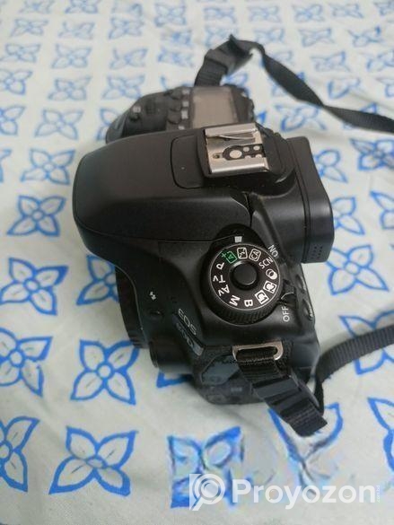 Canon 80D full fresh condition