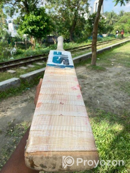 ক্রিকেট ডিয়ুস বেট।