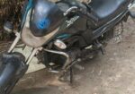 Walton Fusion 110 EX 6 2025