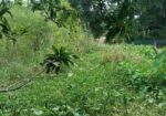 বাড়িসহ জমি বিক্রি হবে