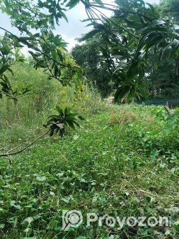 বাড়িসহ জমি বিক্রি হবে