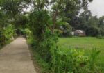 জমিন বিক্রি করা হবে।