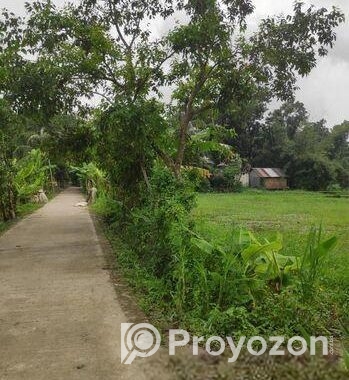 জমিন বিক্রি করা হবে।